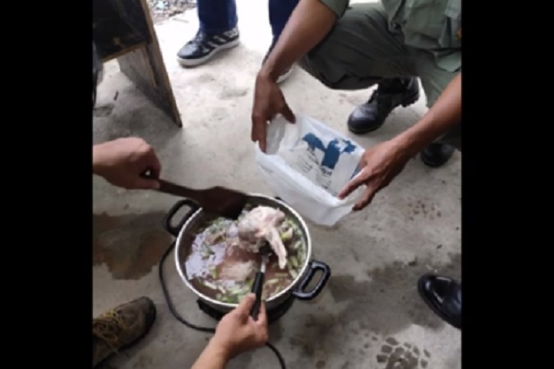 BKSDA Temukan Sup Buaya...