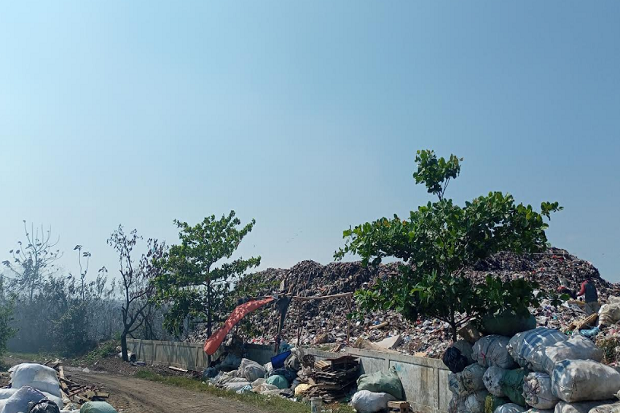 Musim Kemarau Tiba,...
