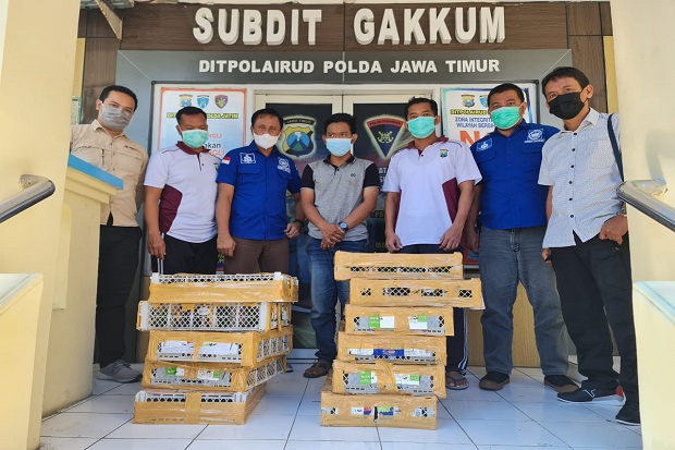 Hendak Selundupkan Burung...