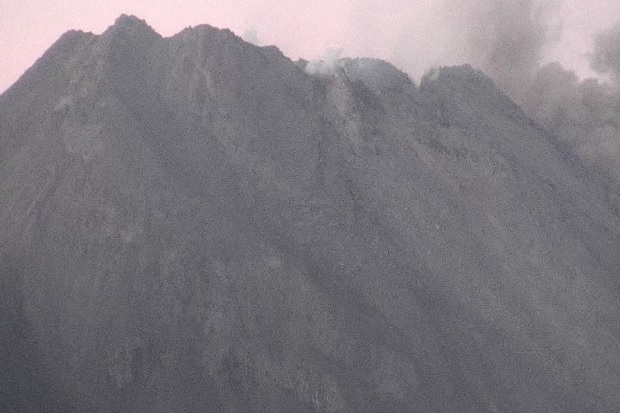 Merapi Semburkan Wedus...