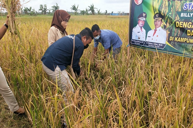 Merauke, Kabupaten Papua...