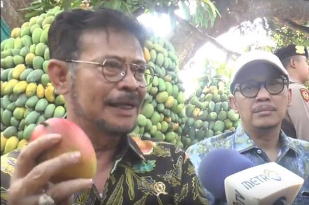 Gelar PLEK di Lima Puluh...