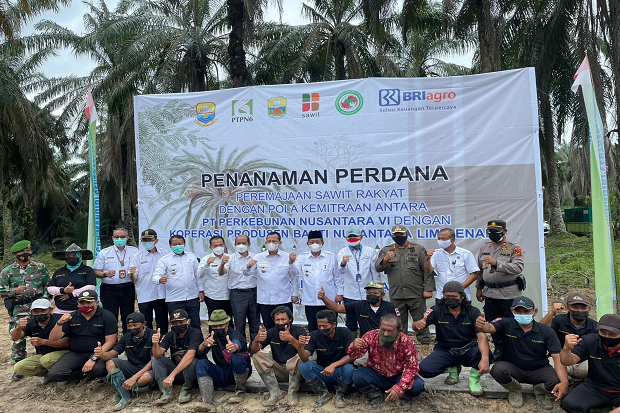 Gandeng Koperasi PTPN...