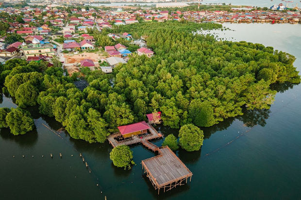 Berdayakan Mangrove...