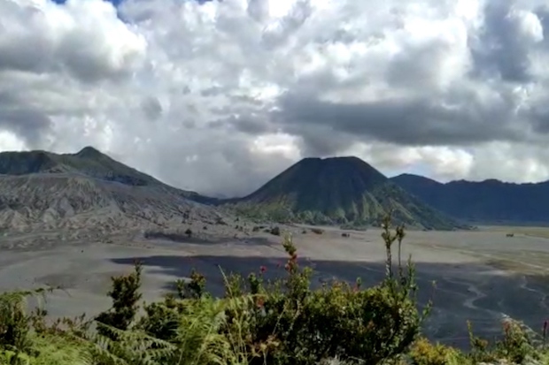 Wisata Gunung Bromo...