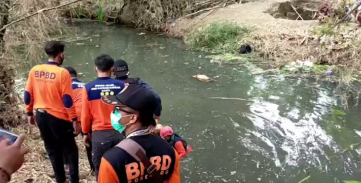 Asyik Berenang di Sungai,...