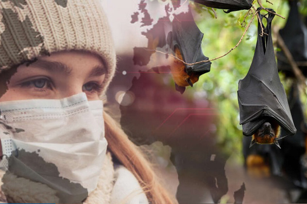 Mengenal Virus Nipah...