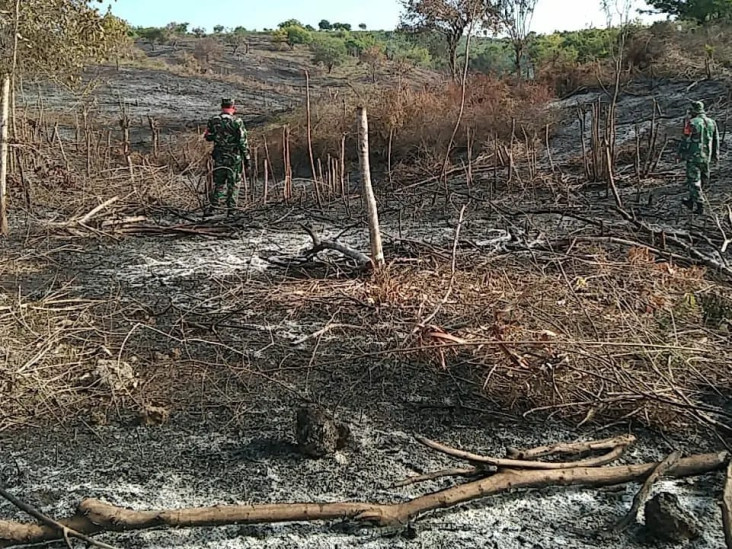 5 Hektar Lahan Hutan...