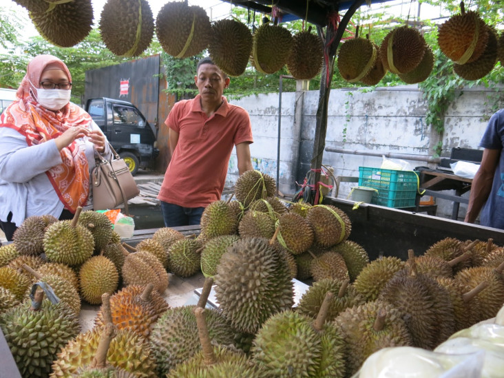 Menunggu Durian Runtuh...