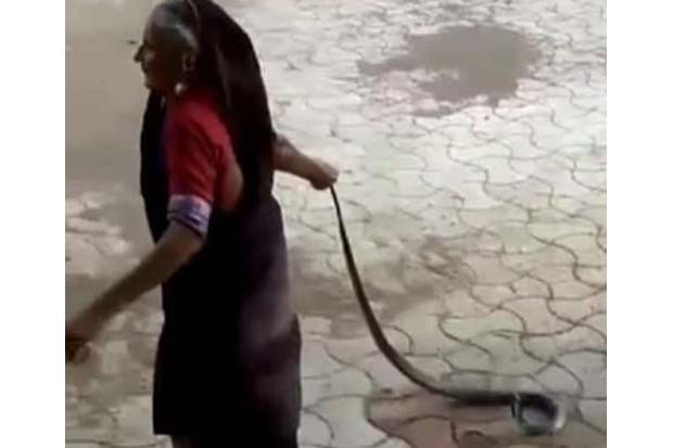 Viral! Video Nenek dengan...