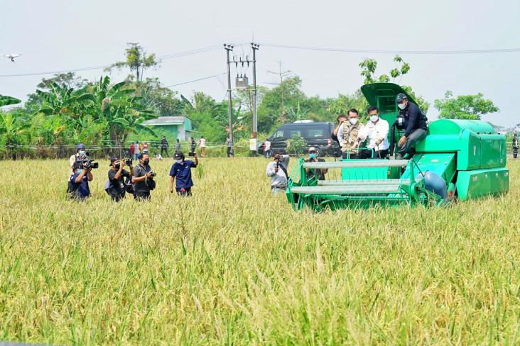 Produksi Beras 2018-2021...