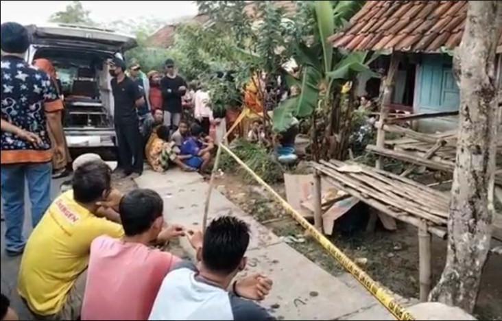 Petani di Tuban Terlibat...