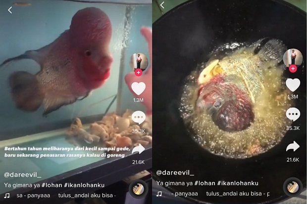 Viral Pria Goreng Ikan...