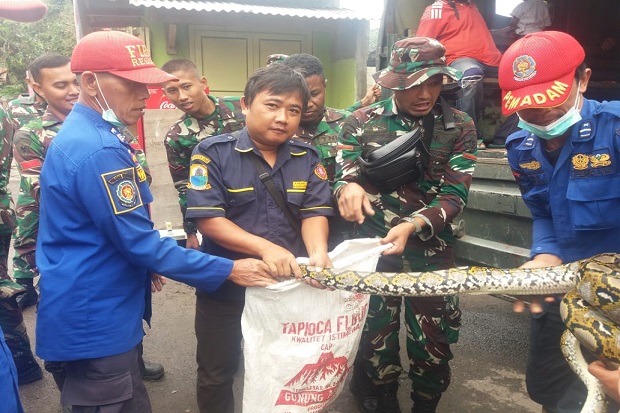 Usai Diterjang Banjir...