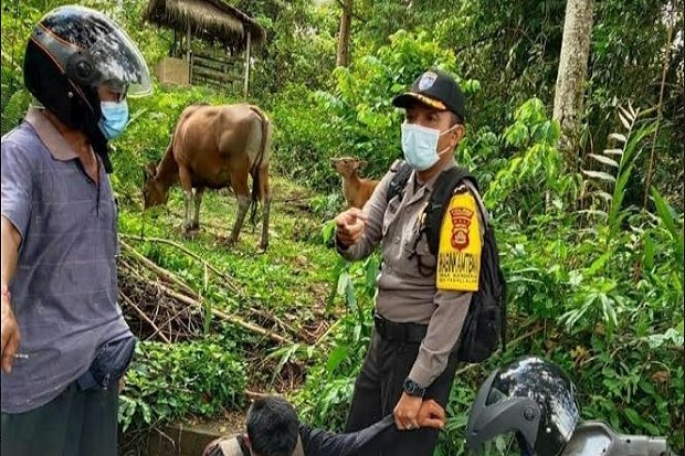 Cewek Cantik di Bali...