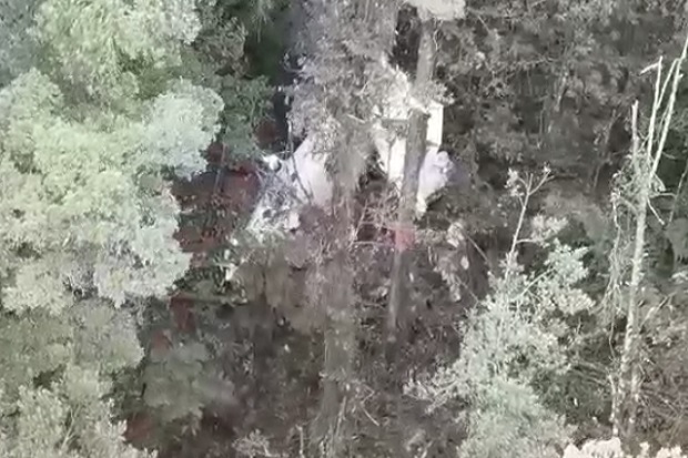 Pilot Pesawat Rimbun...