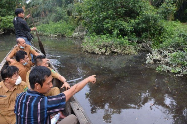 Ribuan Ikan di Sungai...