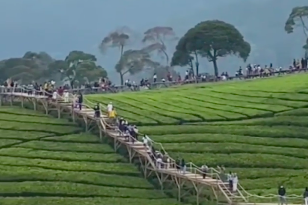 Viral Riung Gunung Pangalengan...