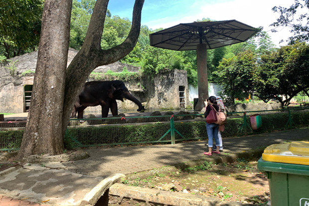 Ancol-TMII Sudah Dibuka,...