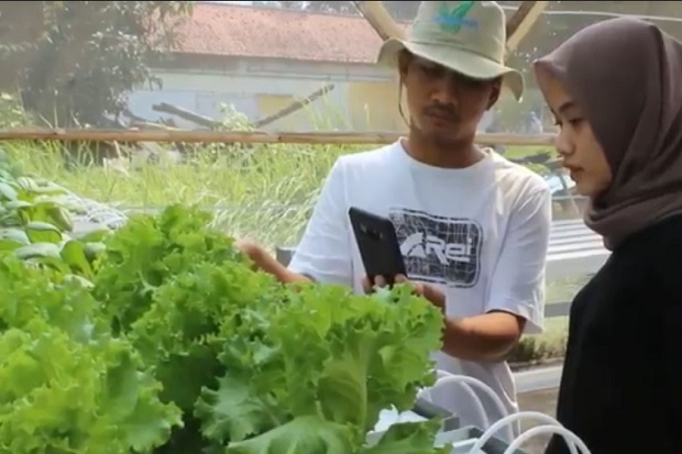 Petani Milenial Indramayu...