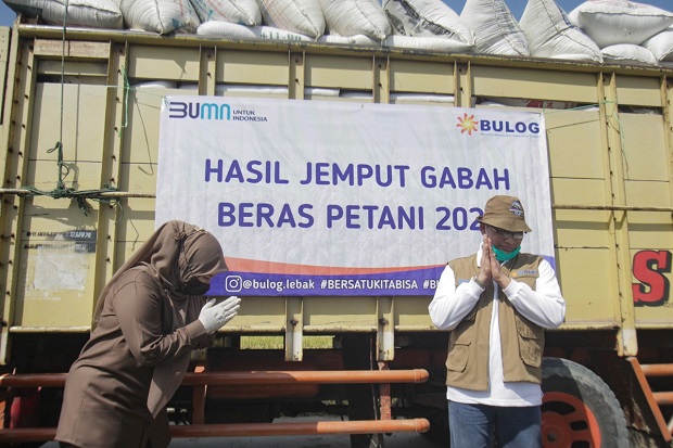 Bulog Berhasil Serap...