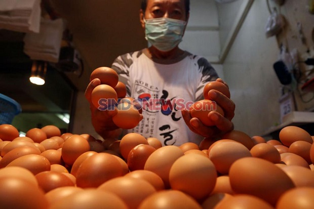 Pedagang Telur Kena...