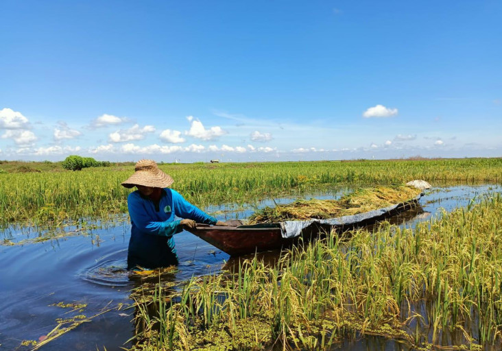 BRGM Cetak Petani Gambut...