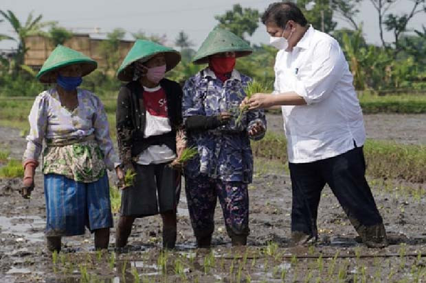 Turun ke Sawah, Airlangga...