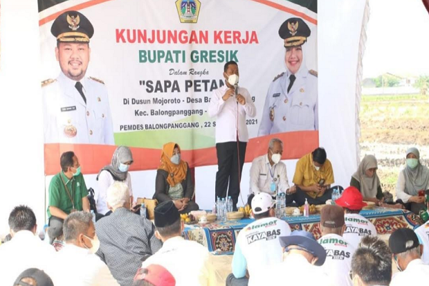Petani Tembakau di Gresik...