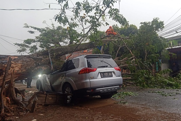 Pengemudi Pajero Sport...