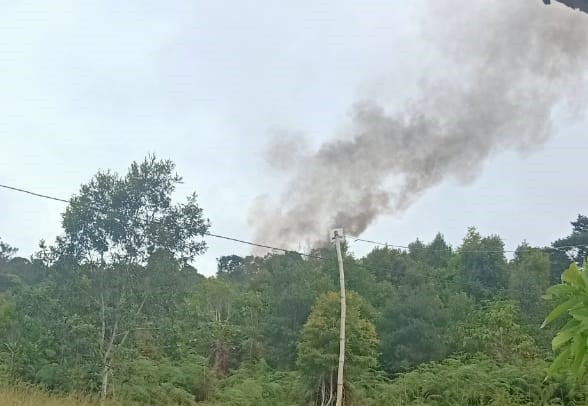 KKB Kembali Meneror,...