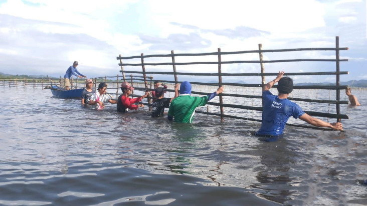 Rehabilitasi Mangrove...
