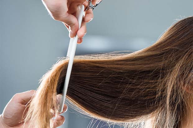 Salon Ini Didenda Rp3,8...