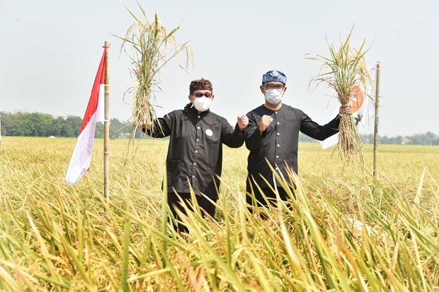 Salim Segaf PKS dan...