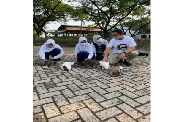 Digoyang Interpelasi,...