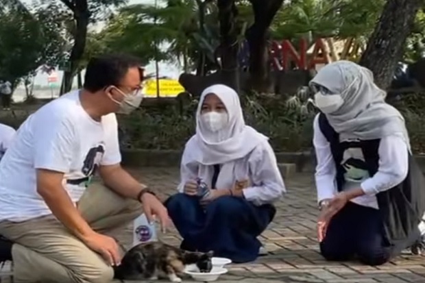 Vaksinasi Kucing di...