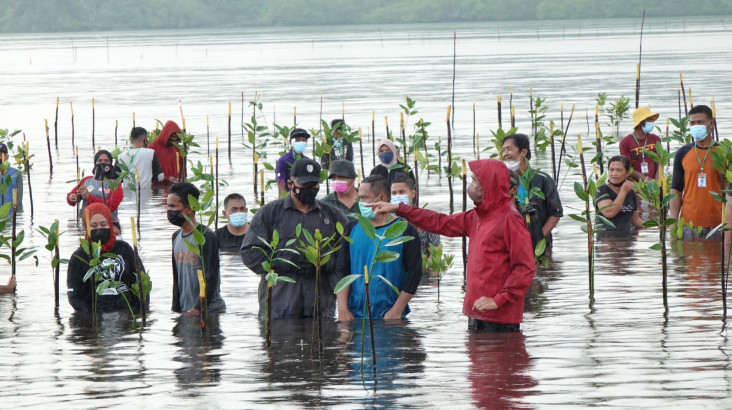 Mangrove Beri Kontribusi...