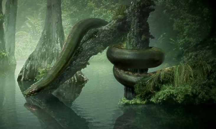 Kerabat Titanoboa, Ahli...