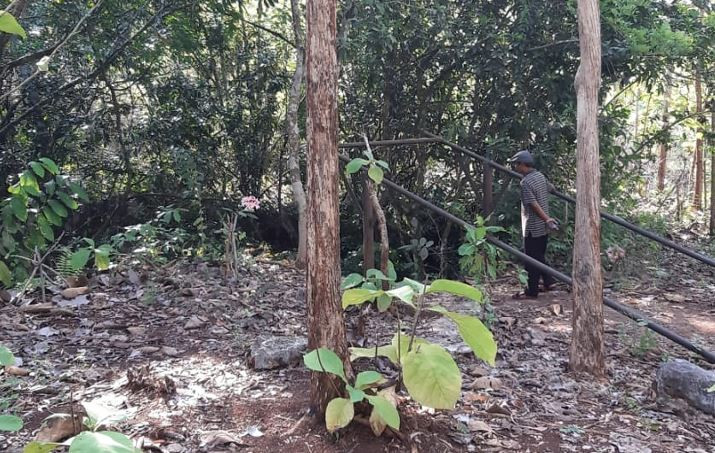 Bau Anyir Luweng Grubuk,...
