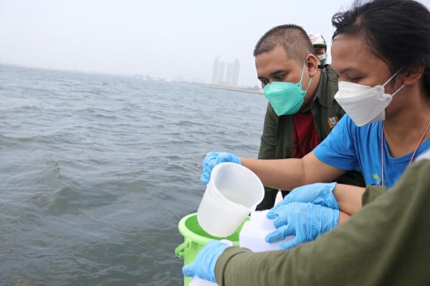 Teluk Jakarta Diduga...
