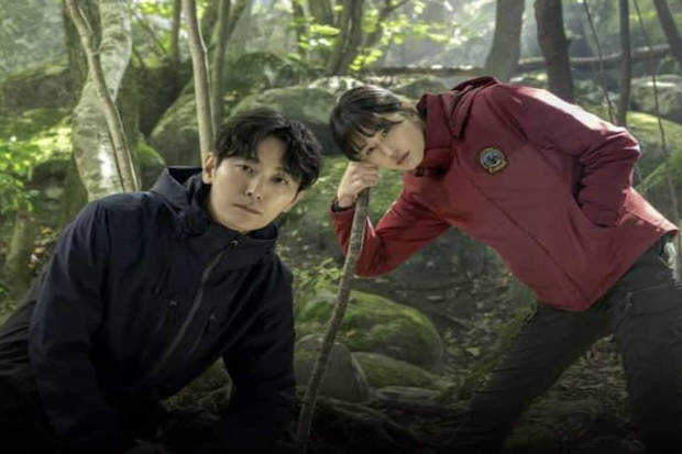 5 Fakta Jirisan, Drama...