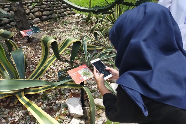 5.000 Tanaman di Kebun...