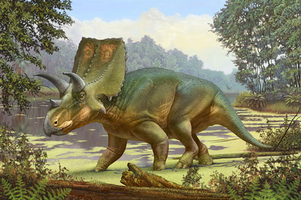 Fosil Dinosaurus Penguasa...