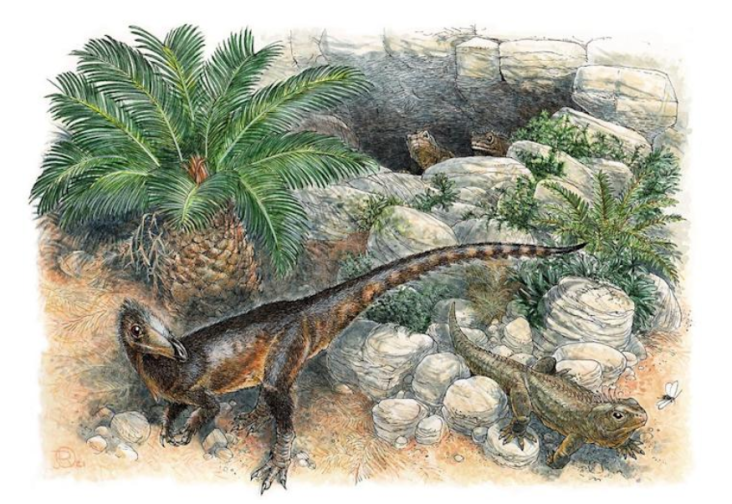 Bukan T-Rex, Dinosaurus...