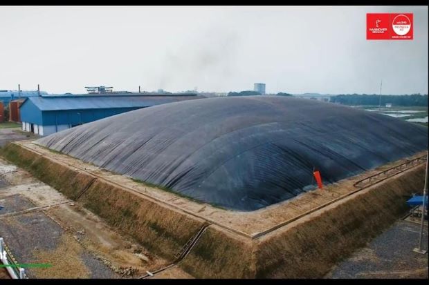 Kembangkan Bioenergi,...