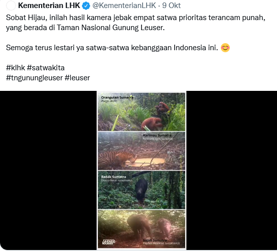 Ini Tempat Terakhir...