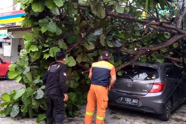 4 Mobil Tertimpa Pohon...