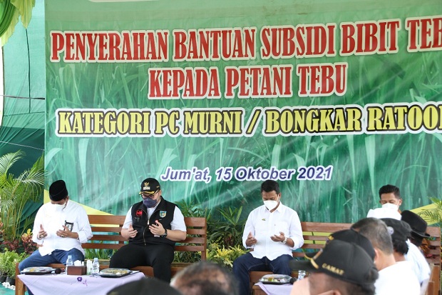 Fokus Ketahanan Gula...