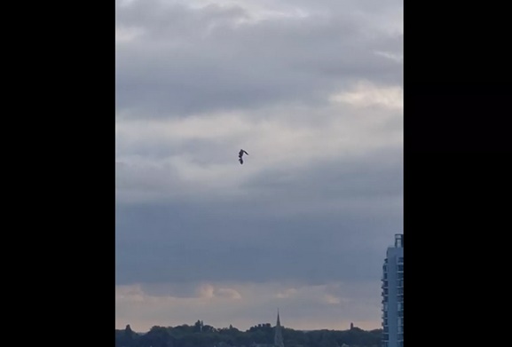 UFO Terlihat di Langit...