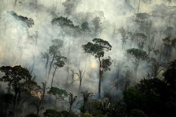 Hutan Amazon Bertambah...